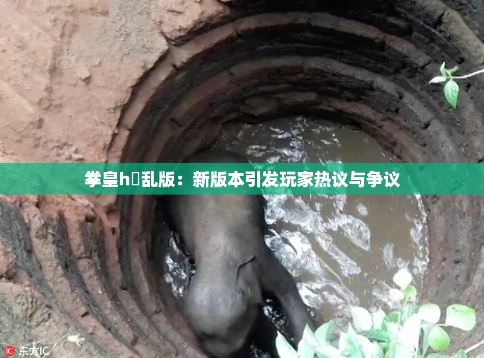 拳皇h婬乱版：新版本引发玩家热议与争议
