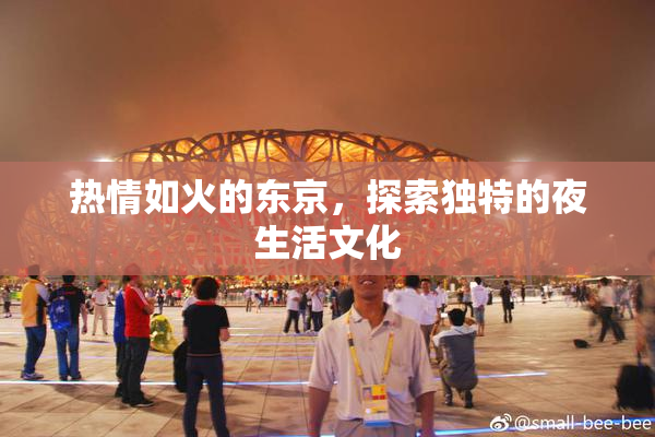 热情如火的东京，探索独特的夜生活文化