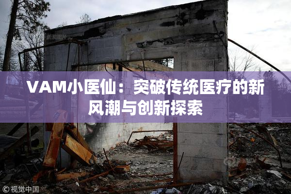 VAM小医仙：突破传统医疗的新风潮与创新探索