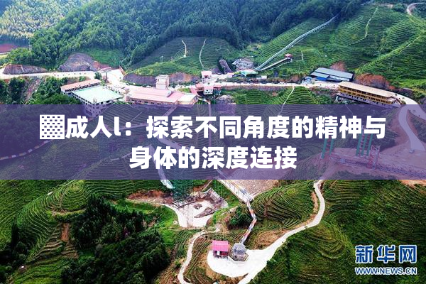 ▓成人l：探索不同角度的精神与身体的深度连接