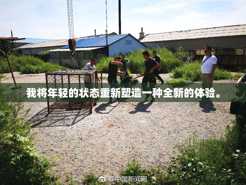 我将年轻的状态重新塑造一种全新的体验。