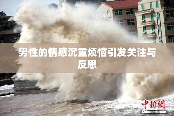 男性的情感沉重烦恼引发关注与反思