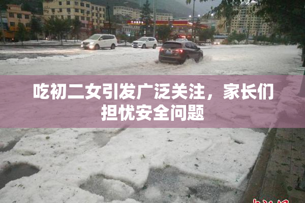 吃初二女引发广泛关注，家长们担忧安全问题