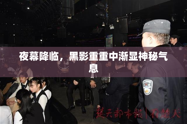 夜幕降临，黑影重重中渐显神秘气息