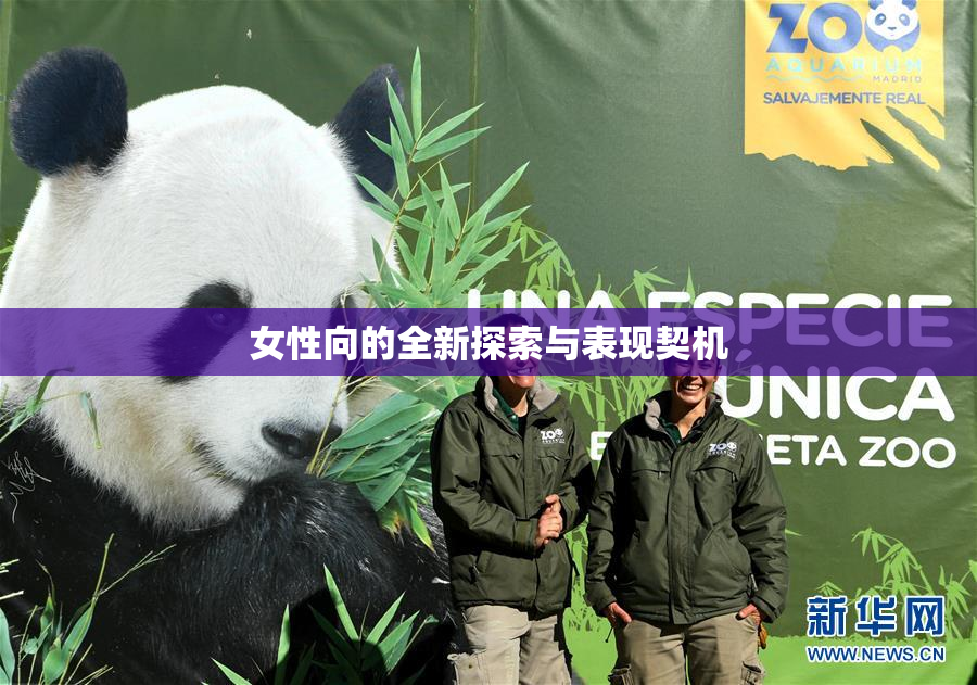 女性向的全新探索与表现契机