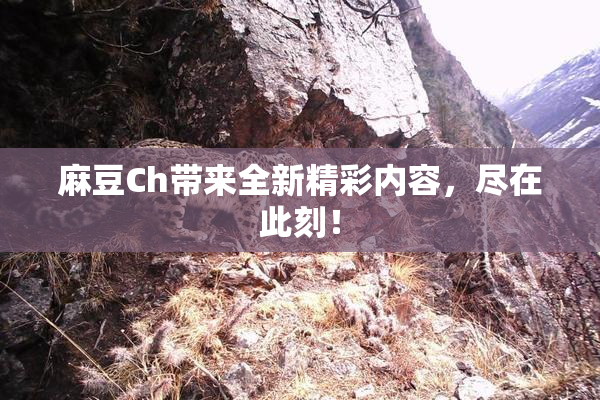 麻豆Ch带来全新精彩内容，尽在此刻！