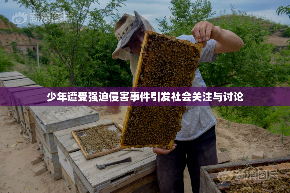 少年遭受强迫侵害事件引发社会关注与讨论