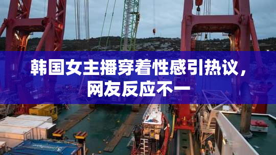 韩国女主播穿着性感引热议，网友反应不一