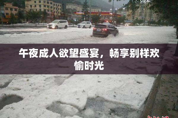 午夜成人欲望盛宴，畅享别样欢愉时光
