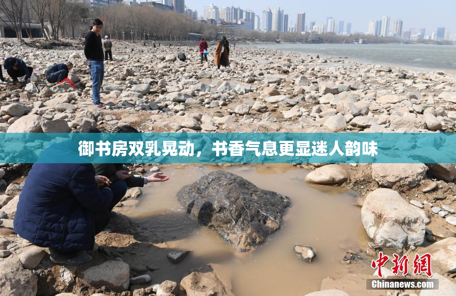 御书房双乳晃动，书香气息更显迷人韵味