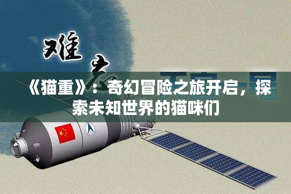 《猫重》：奇幻冒险之旅开启，探索未知世界的猫咪们