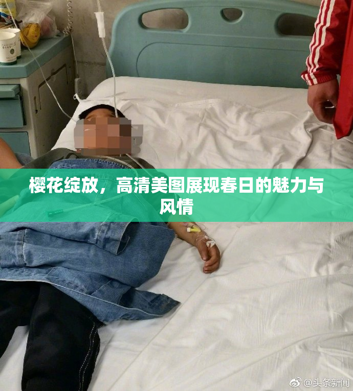 樱花绽放，高清美图展现春日的魅力与风情