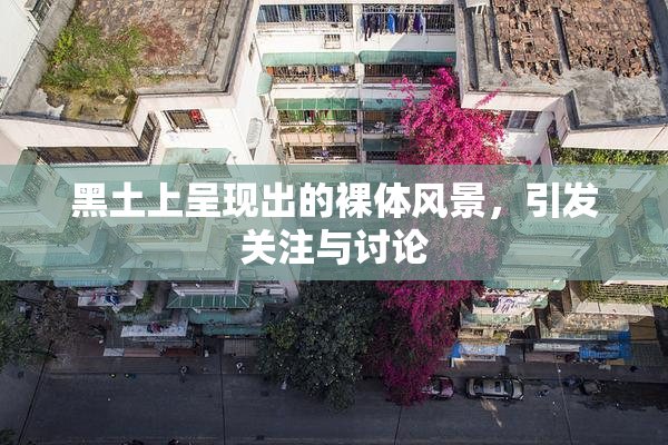 黑土上呈现出的裸体风景，引发关注与讨论
