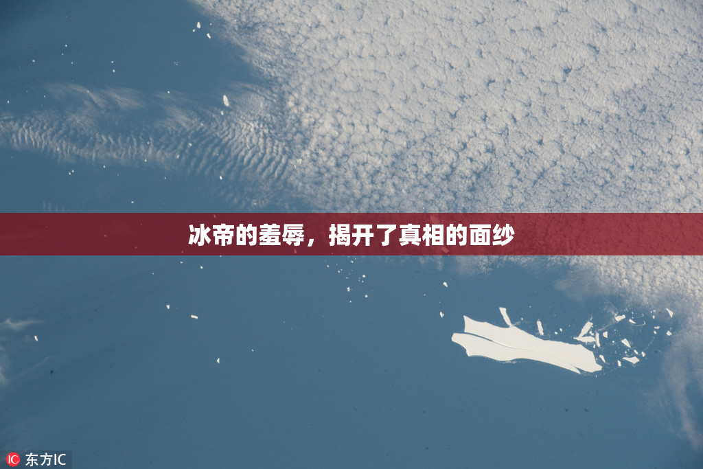 冰帝的羞辱，揭开了真相的面纱