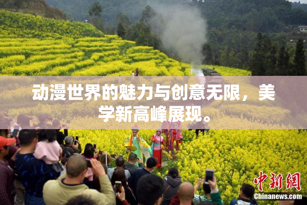 动漫世界的魅力与创意无限，美学新高峰展现。