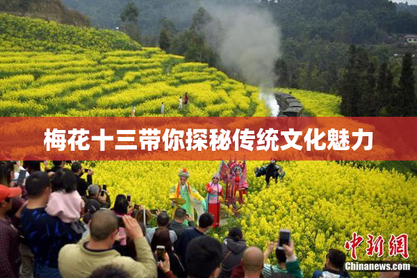 梅花十三带你探秘传统文化魅力