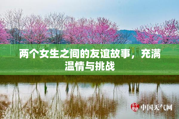 两个女生之间的友谊故事，充满温情与挑战