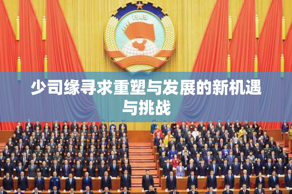 少司缘寻求重塑与发展的新机遇与挑战