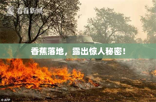 香蕉落地，露出惊人秘密！