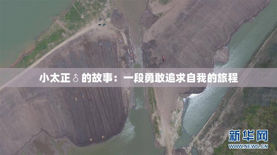 小太正♂的故事：一段勇敢追求自我的旅程