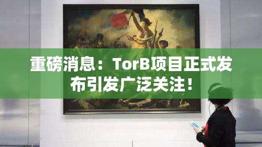 重磅消息：TorB项目正式发布引发广泛关注！