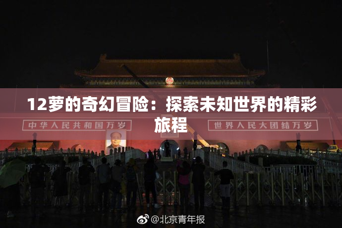 12萝的奇幻冒险：探索未知世界的精彩旅程