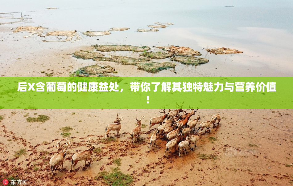 后X含葡萄的健康益处，带你了解其独特魅力与营养价值！