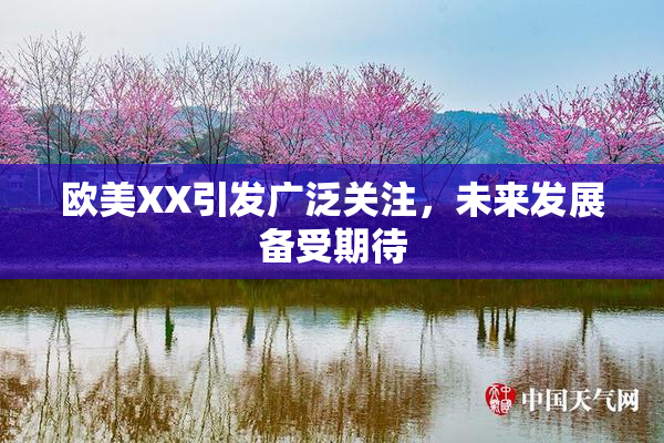 欧美XX引发广泛关注，未来发展备受期待