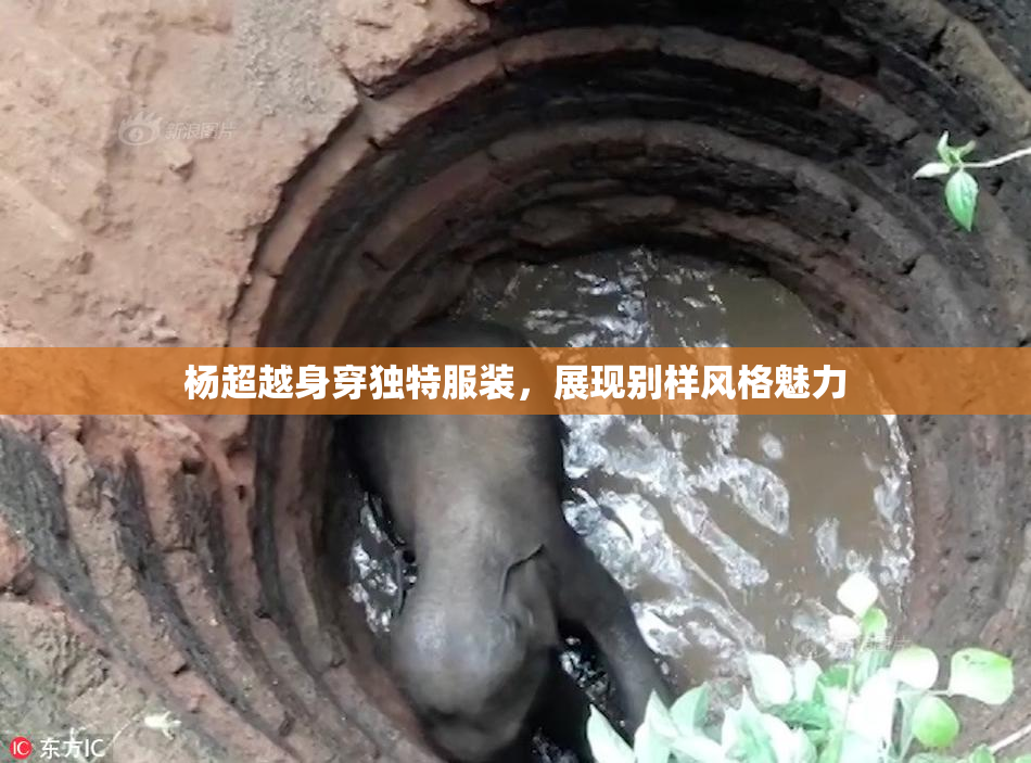 杨超越身穿独特服装，展现别样风格魅力