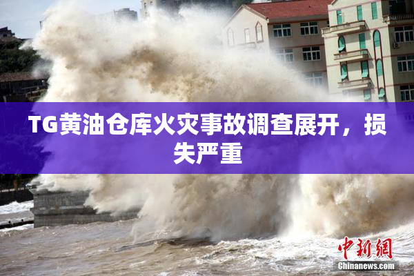 TG黄油仓库火灾事故调查展开，损失严重