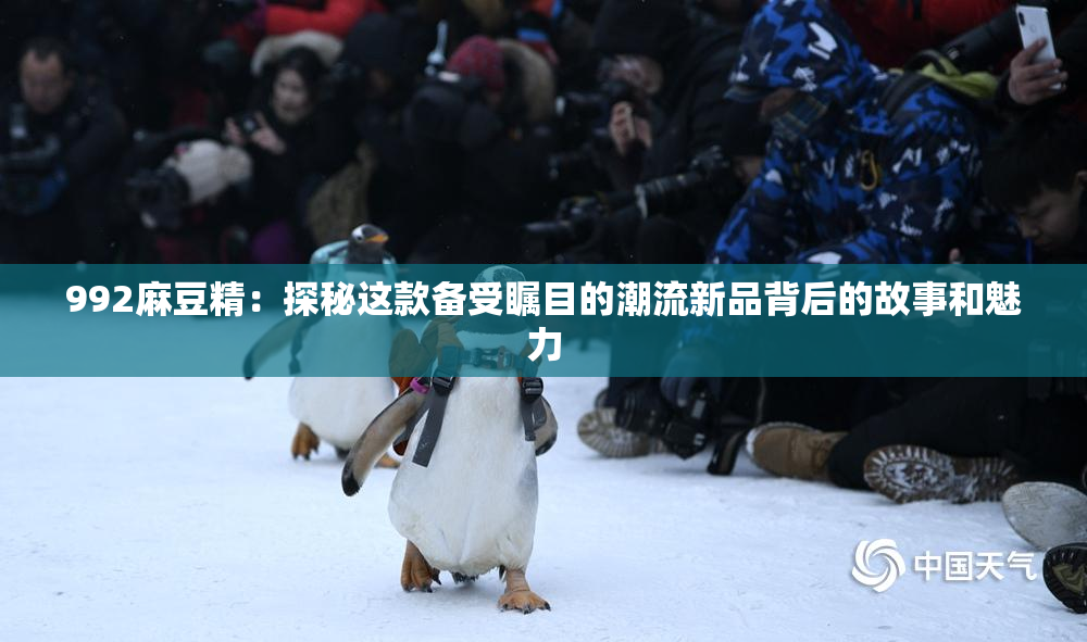 992麻豆精：探秘这款备受瞩目的潮流新品背后的故事和魅力