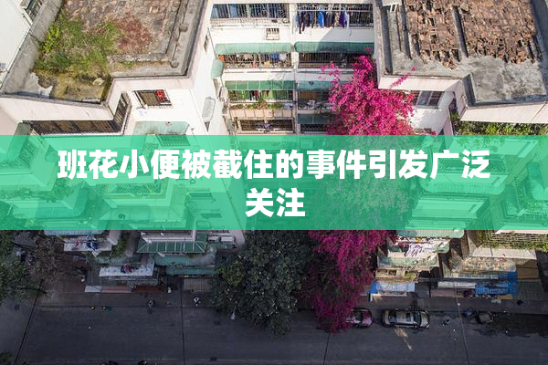 班花小便被截住的事件引发广泛关注