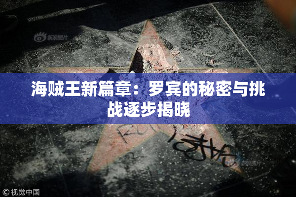 海贼王新篇章：罗宾的秘密与挑战逐步揭晓