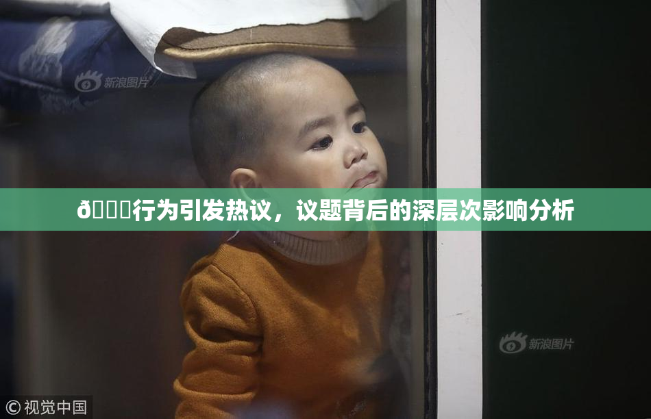 🈚行为引发热议，议题背后的深层次影响分析
