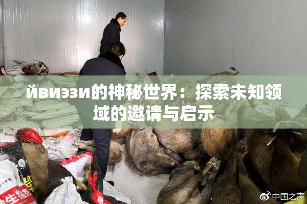 йвиэзи的神秘世界：探索未知领域的邀请与启示