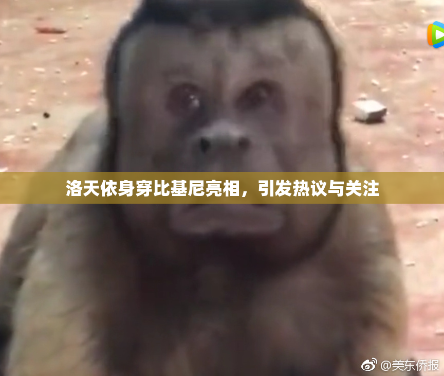 洛天依身穿比基尼亮相，引发热议与关注