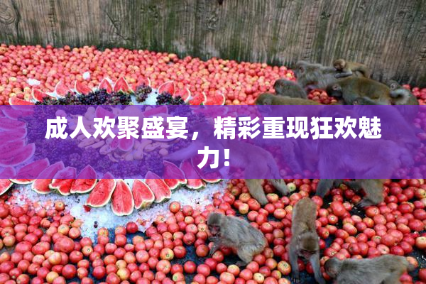 成人欢聚盛宴，精彩重现狂欢魅力！
