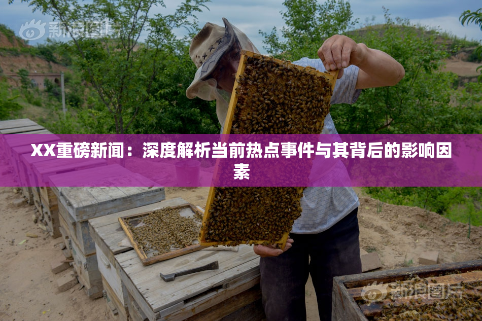 XX重磅新闻：深度解析当前热点事件与其背后的影响因素