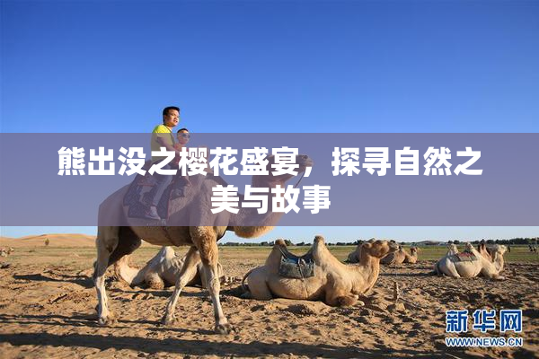 熊出没之樱花盛宴，探寻自然之美与故事