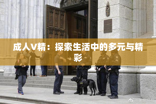 成人V精：探索生活中的多元与精彩