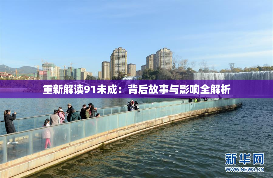 重新解读91未成：背后故事与影响全解析