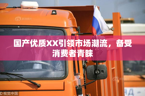 国产优质XX引领市场潮流，备受消费者青睐