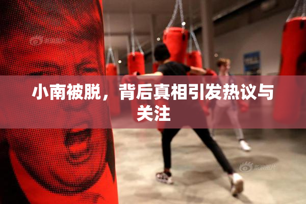 小南被脱，背后真相引发热议与关注