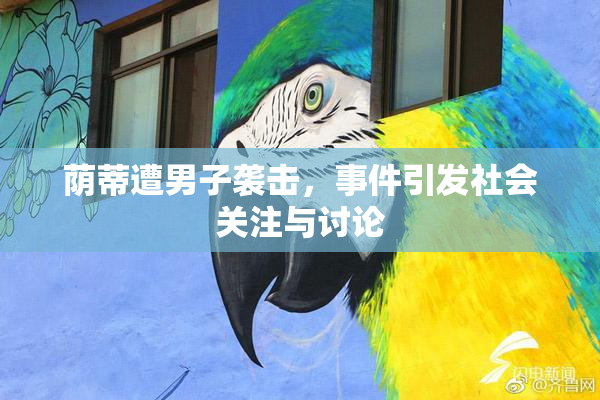 荫蒂遭男子袭击，事件引发社会关注与讨论