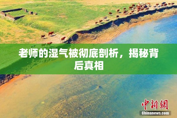 老师的湿气被彻底剖析，揭秘背后真相
