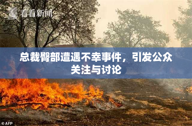 总裁臀部遭遇不幸事件，引发公众关注与讨论