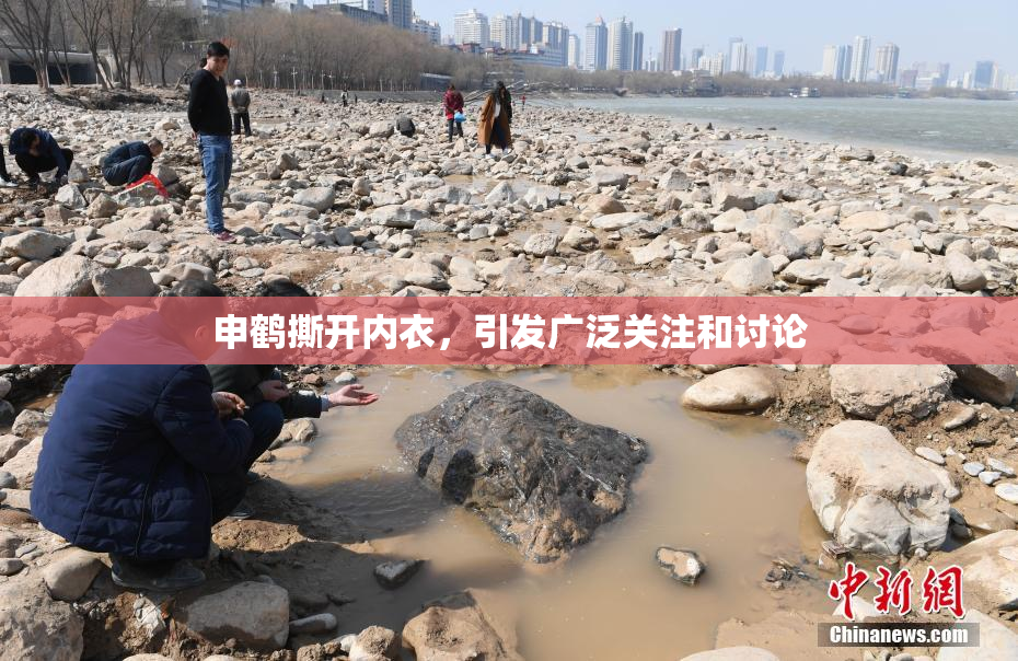 申鹤撕开内衣，引发广泛关注和讨论