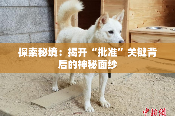探索秘境：揭开“批准”关键背后的神秘面纱
