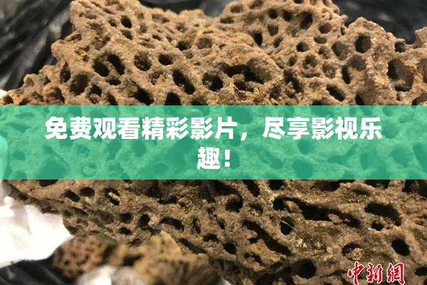 免费观看精彩影片，尽享影视乐趣！