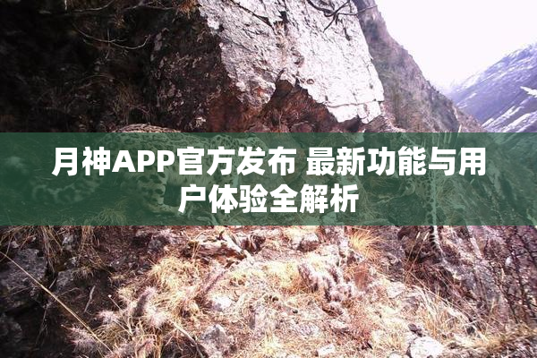 月神APP官方发布 最新功能与用户体验全解析